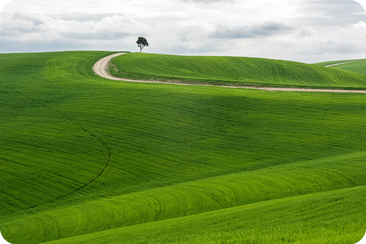 Semia Impatto Zero (15)